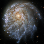 NGC2276