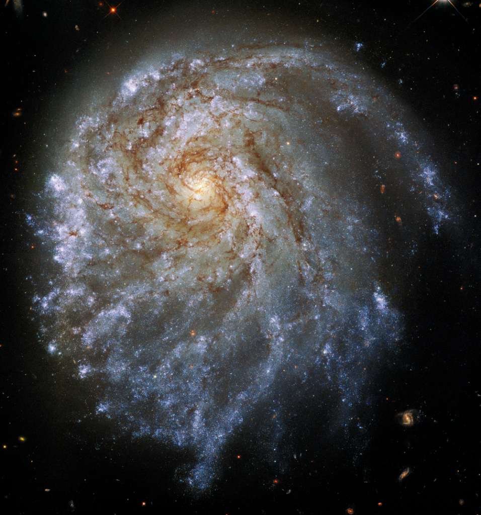 NGC2276